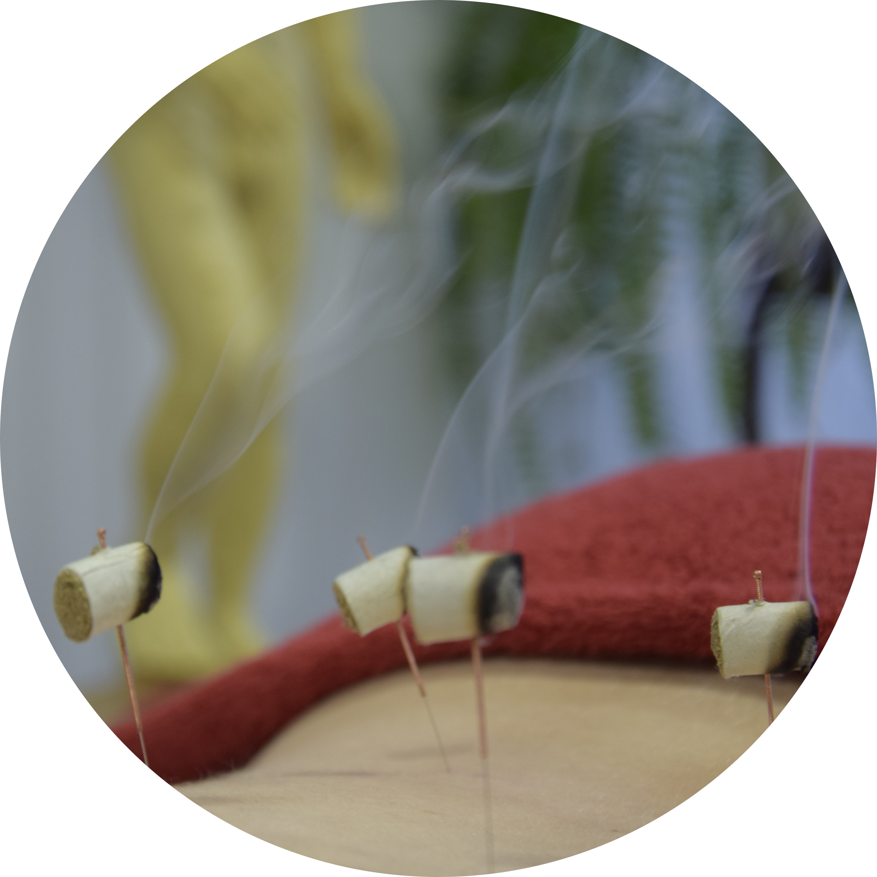 Moxibustion mit Beifusskraut auf Akupunkturnadel - (Bildquelle: Steffen Michel) Moxibustion mit Beifusskraut auf Akupunkturnadel - (Bildquelle: Steffen Michel)