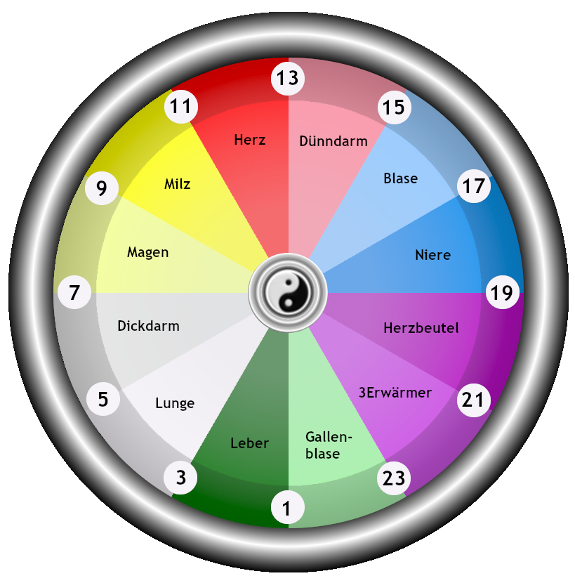Organuhr mit Minimalzeiten und Maximalzeiten zur Bestimmung der optimalen Leistungsfähigkeit  der einzelnen Organe  -  (Bildquelle: Steffen Michel)